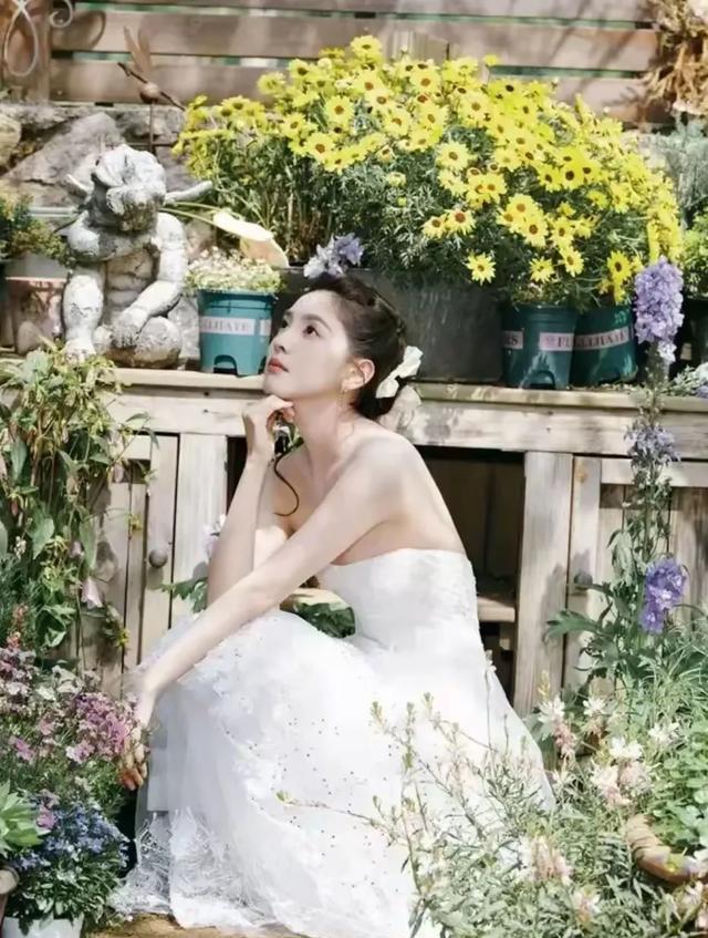 精美图片5